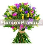 Frezii multicolore