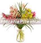 Orhidee cymbidium mix