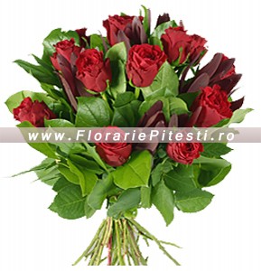 Trandafiri eleganti